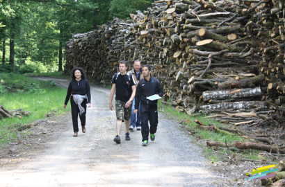 team-building-challenge-foret-13