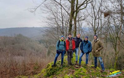 Organiser une activité team building en forêt