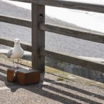 Chasse au Trésor - Normandie