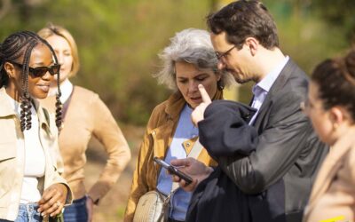 Révéler les rôles en équipe grâce au team building