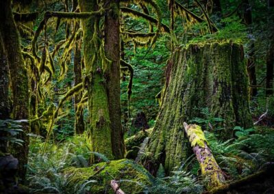 Un team building pour se reconnecter à ses sens et à la nature