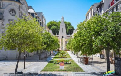 Création d’un jeu sur mesure à Verdun